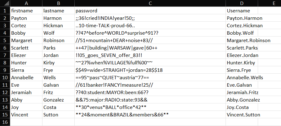 Column C revealed, named Password, with one password per user